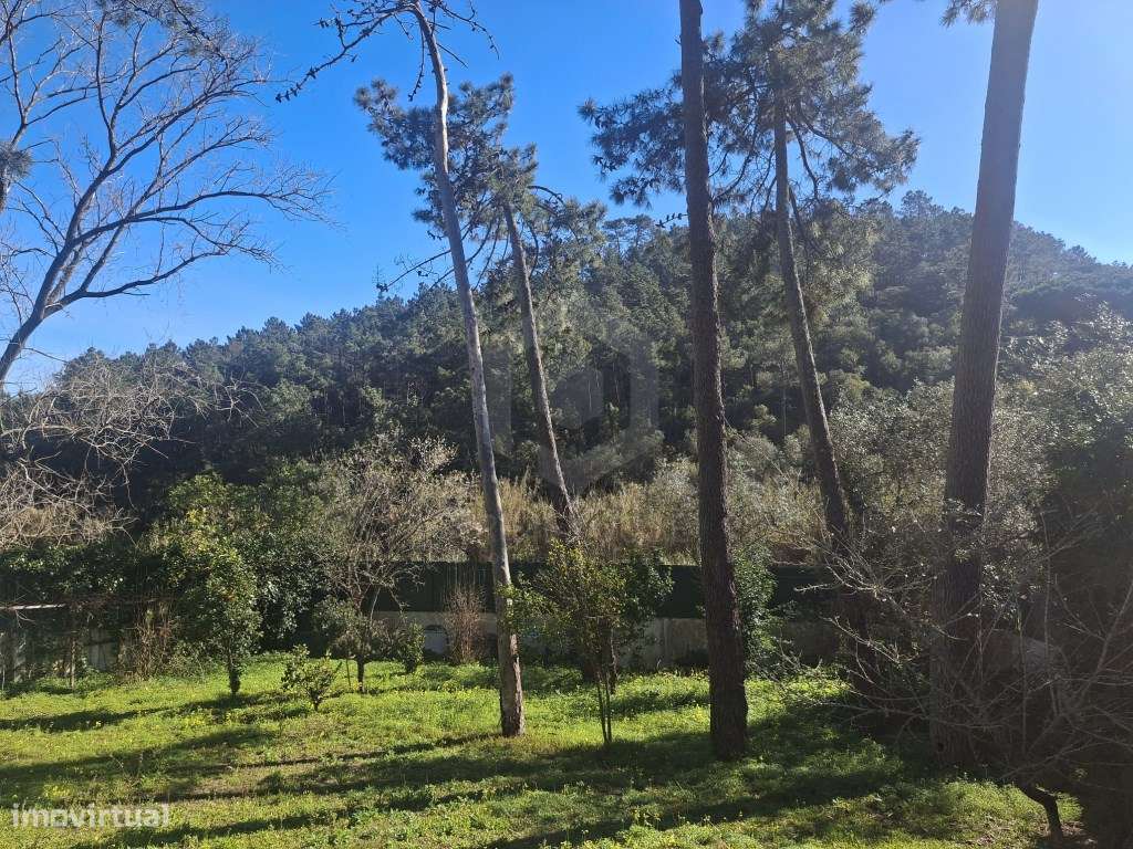 Moradia de Tradicional com Piscina em Lote de 2135 m² - Cotovia-25