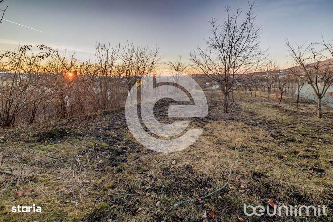 Casa individuala Sibiu - Teren 1310Mp - Garaj - Anexe-16