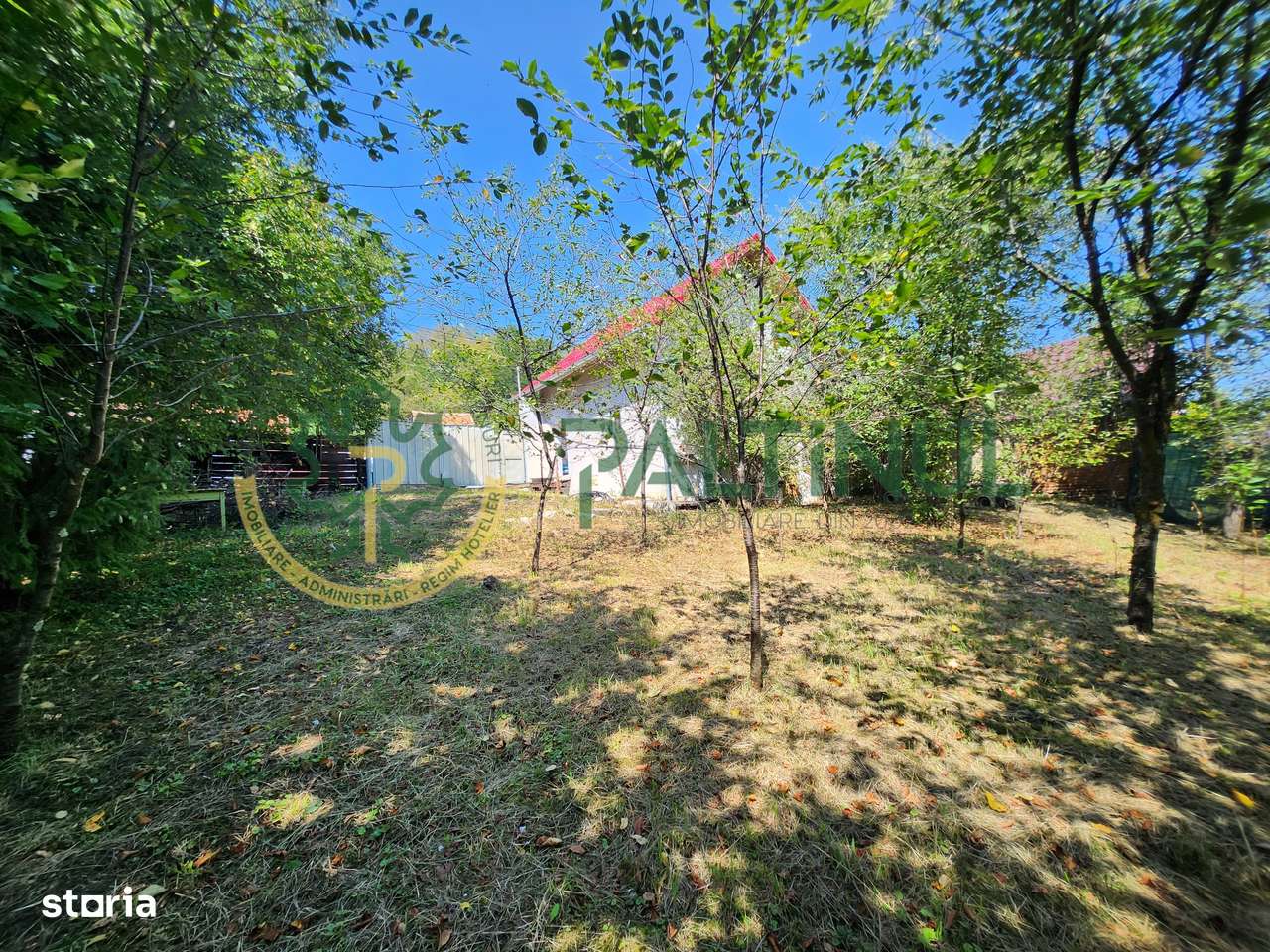 Casă Nucet, 864 mp teren cu pomi fructiferi – la 21 km de Sibiu - Imagine principală: 2/11