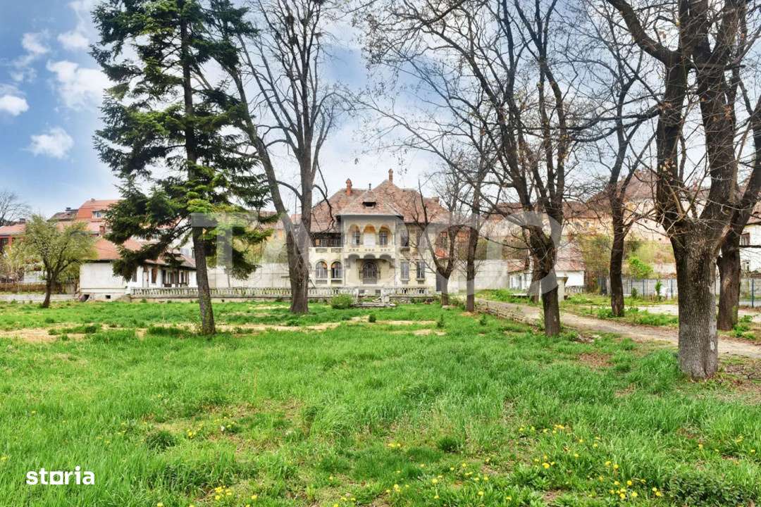 Vila interbelica isi asteapta cu speranta tacuta noul proprietar - Imagine principală: 2/11