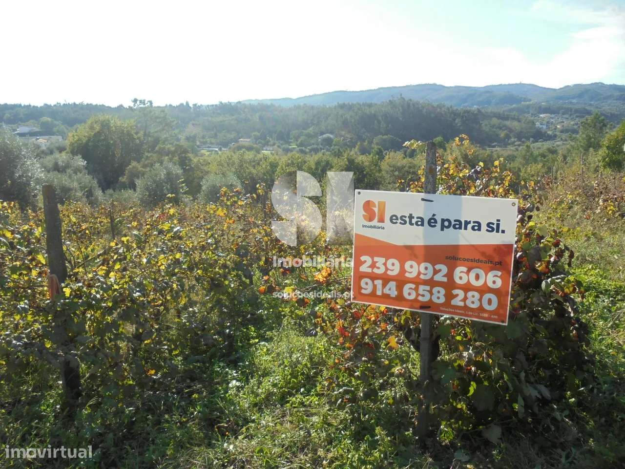 Terreno em Vila nova de poiares - Grande imagem: 5/12