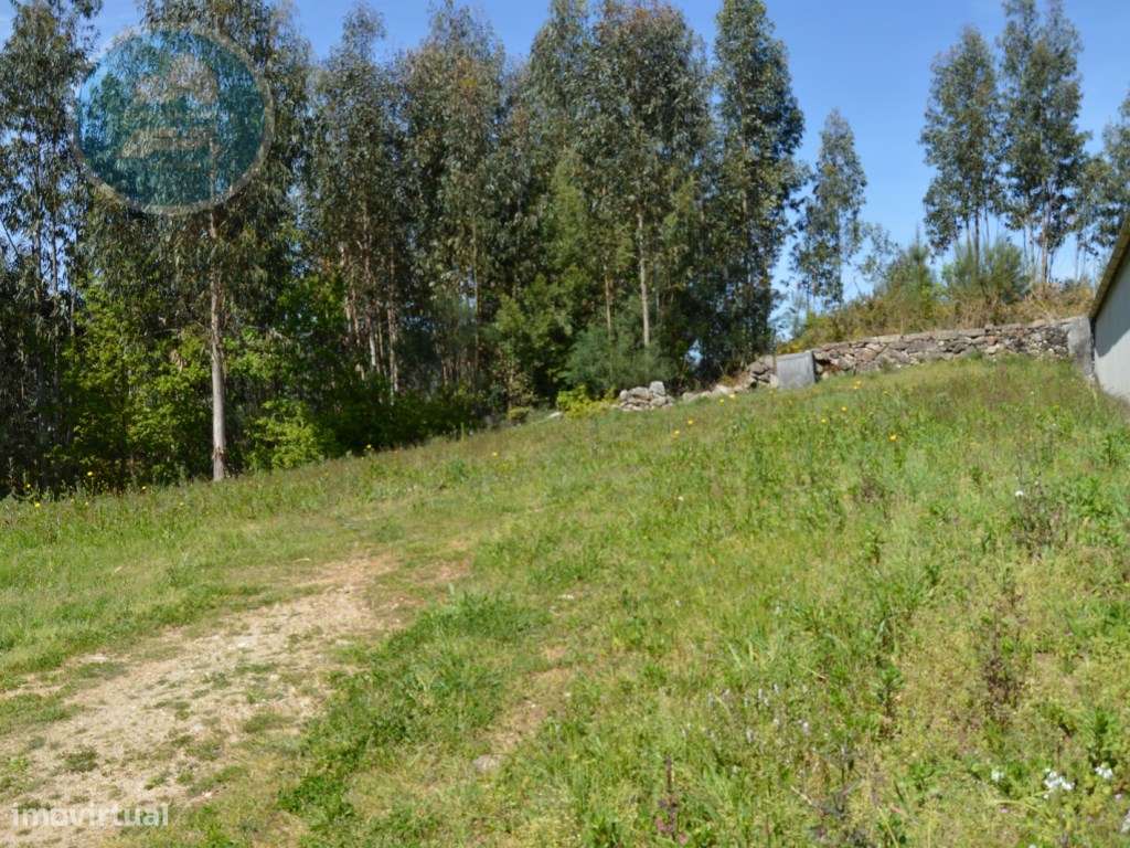 Terreno à venda- Cruz do Muro, Cabeceiras de Basto-22