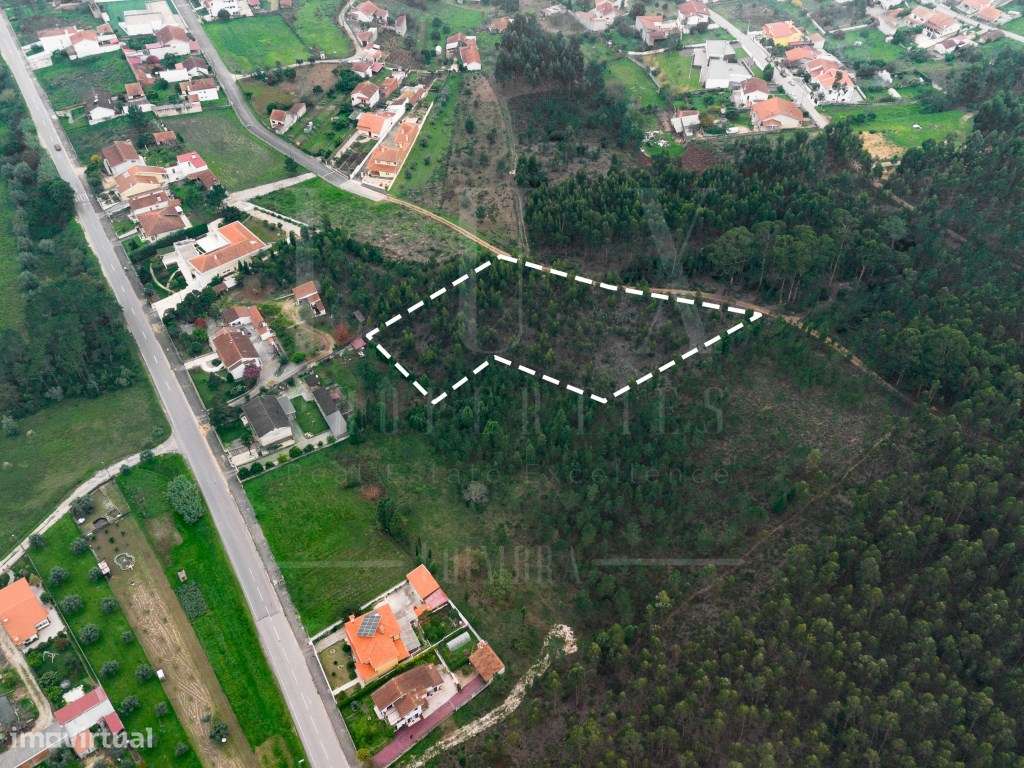 Terreno Rústico | Pampilhosa, Mealhada - Grande imagem: 5/15