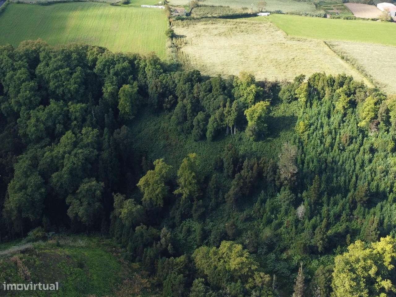 Terreno Rústico em Lomba da Maia-8