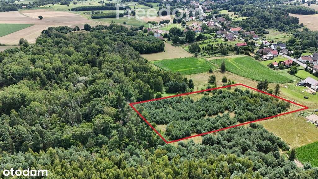 Na sprzedaż działka budowlana z MPZP - Pełny obrazek: 5/6