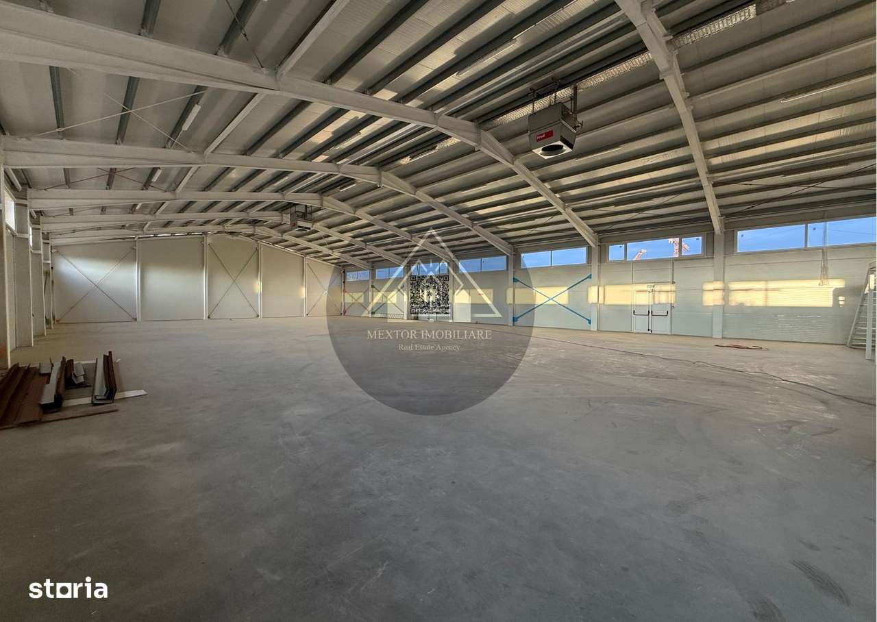 Hală de inchiriat, Medias - Imagine principală: 5/15