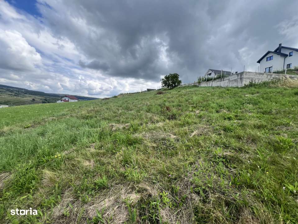 Investitie Teren intravilan 3000 mp intabulat in Corusu - Imagine principală: 4/5