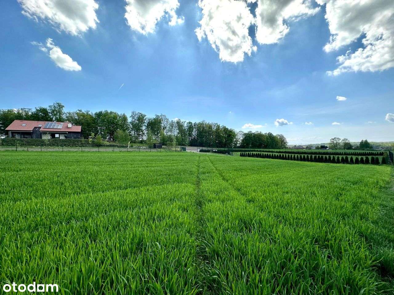 Działka pod lasem | doprowadzony wodociąg-6