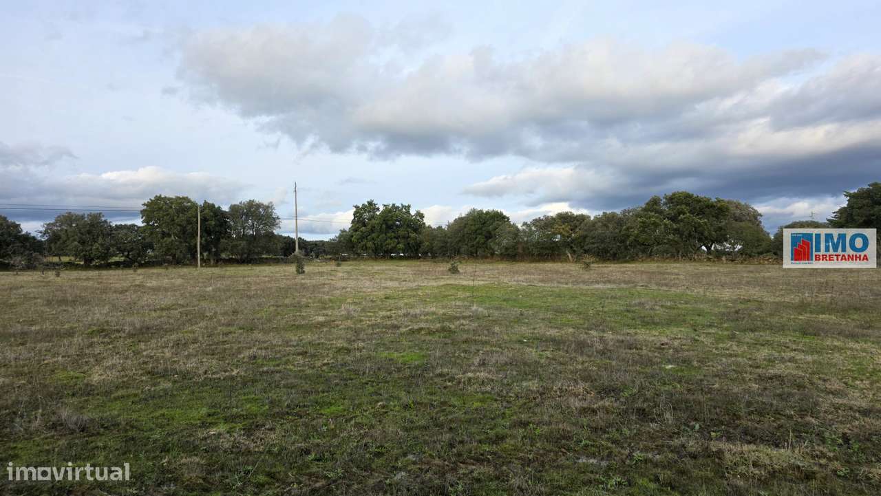 Quinta  - Alcafozes - Grande imagem: 4/12