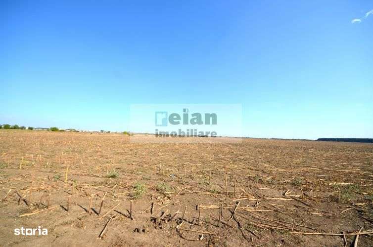 Magurele - Benzinaria Tsv Intravilan 3500 Mp Dubla Deschidere 22/135ml - Imagine principală: 4/11