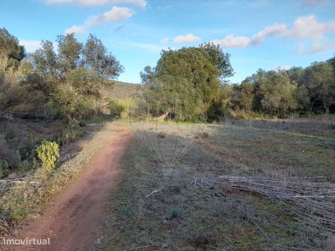 Terreno  para venda - Grande imagem: 3/5