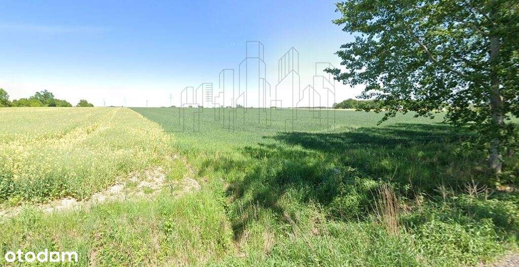 Działka 1000 m² | Pruszowice, gm. Długołęka - Pełny obrazek: 4/10