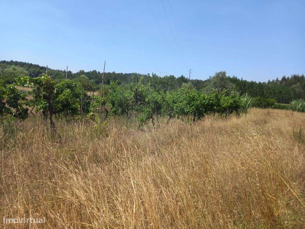 Terreno  para venda - Grande imagem: 5/6