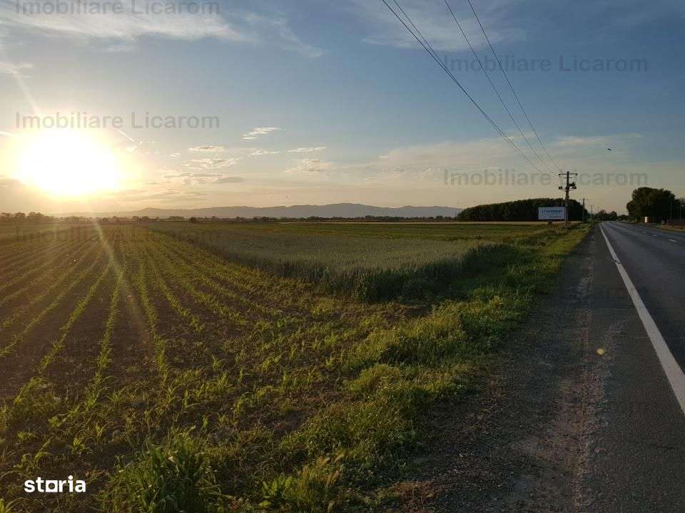 Teren Stupini Calea Feldioarei 4600 mp,21 euro/mp, front la asfalt-4