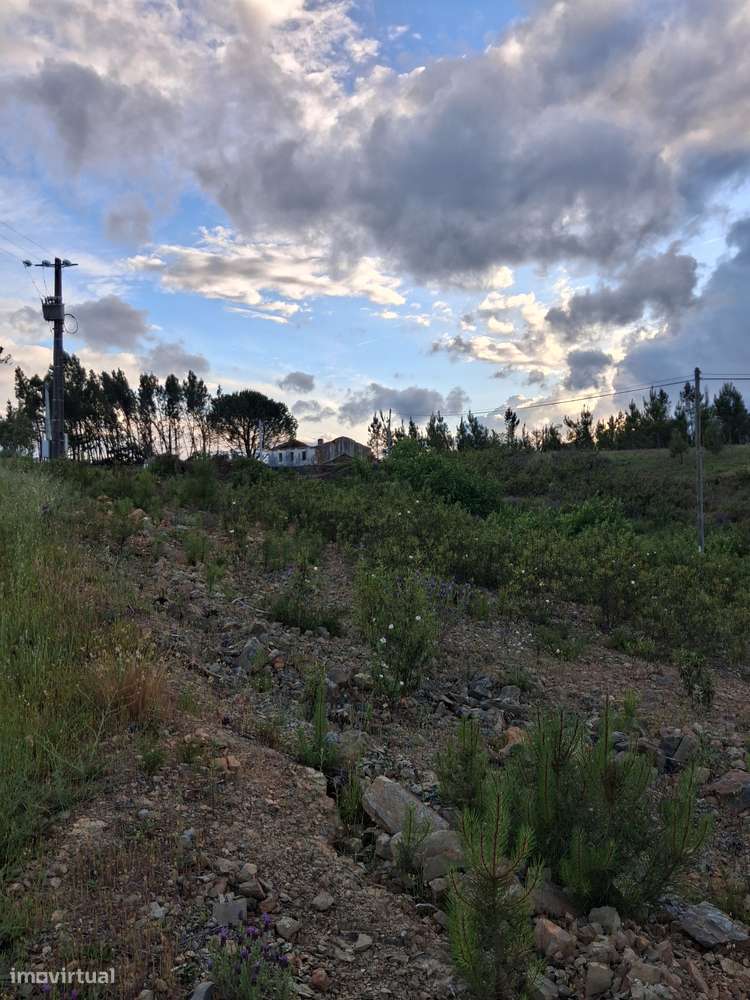 Moradia Isolada T4 em ruinas c/ 2 artigos urbanos e 1 terreno Rústico-4