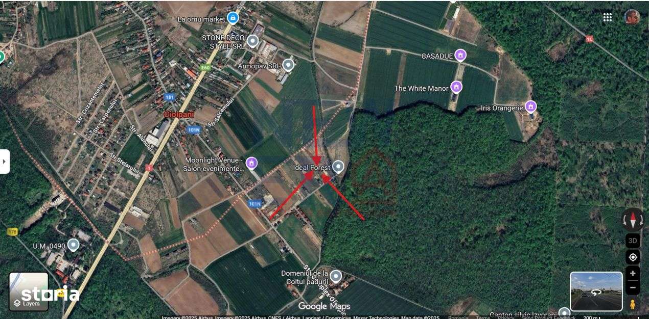 Teren de vanzare Ciolpani - 1650 mp - Imagine principală: 3/3