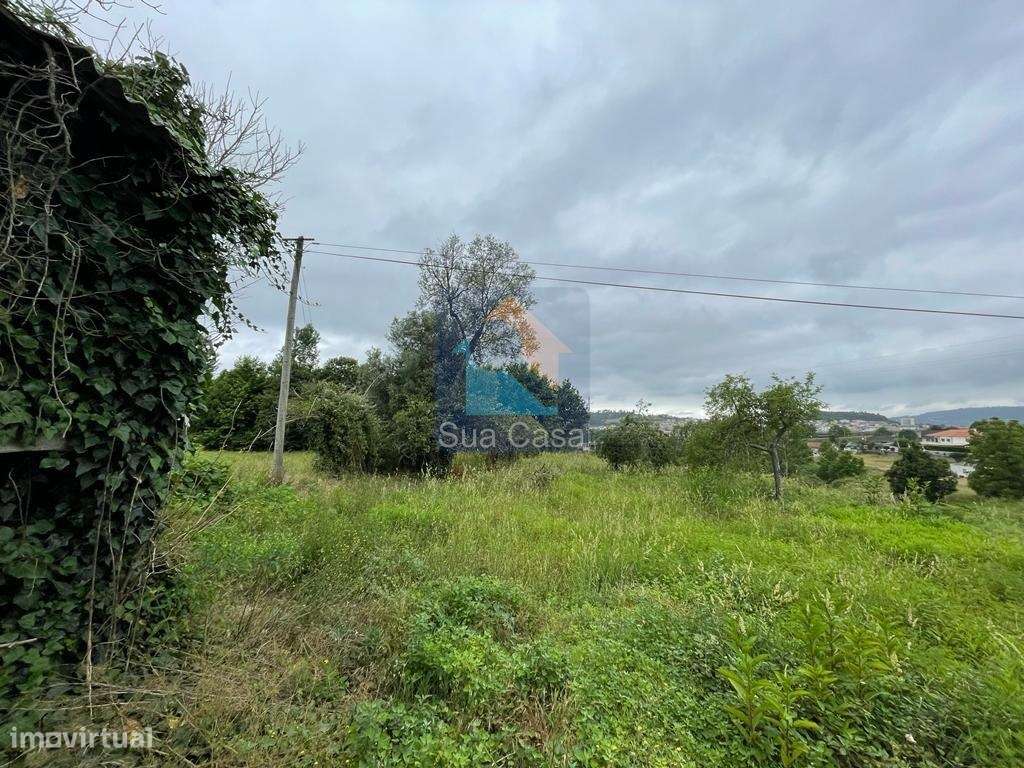 Venda Quinta/Herdade - Grande imagem: 4/14