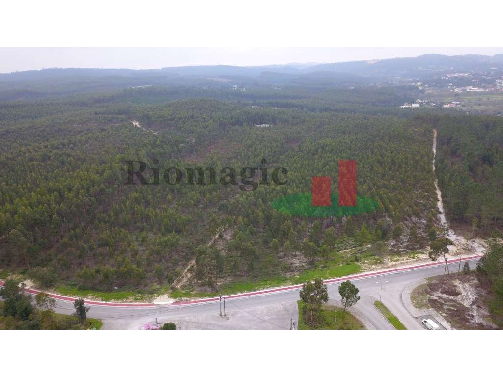 Terreno com Viabilidade de Construção***RIOMAGIC*** - Grande imagem: 2/8