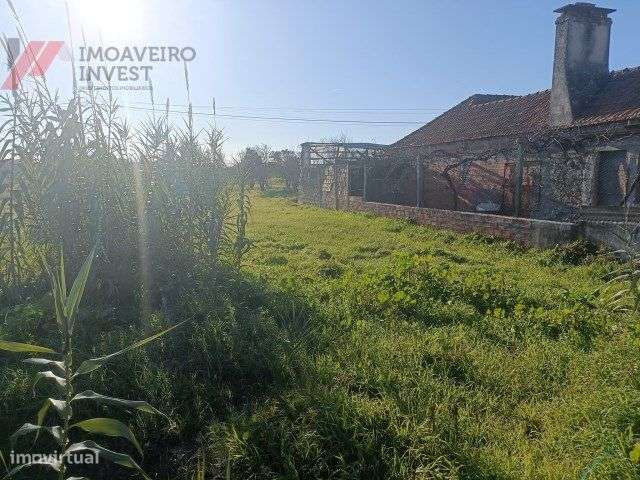 Terreno à venda em Santa Catarina-Vagos - Grande imagem: 4/4