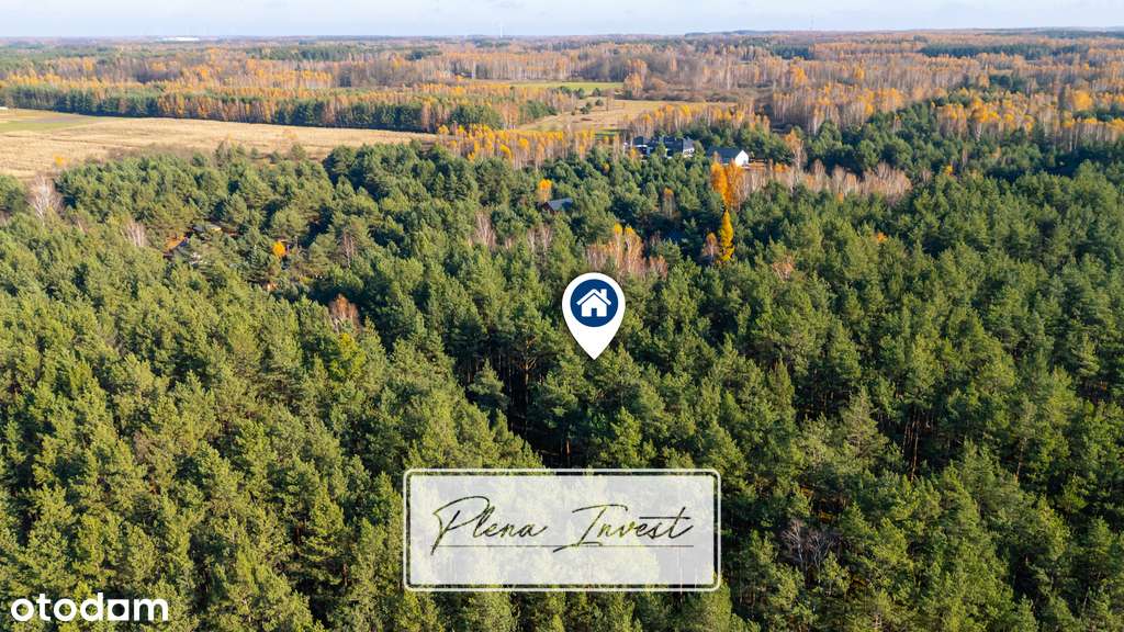 Piękny las | prywatność | plan zagospodarowania-1