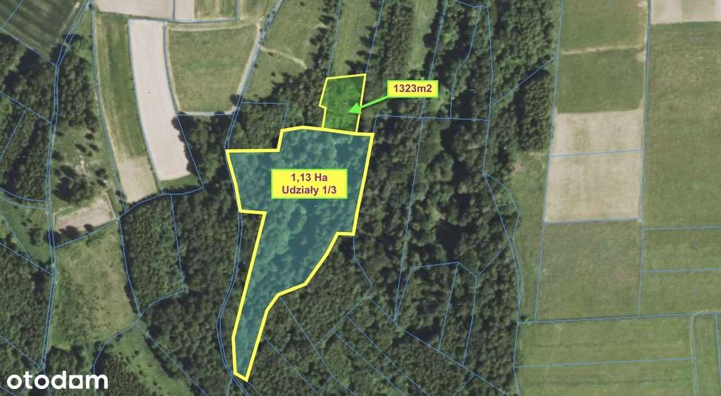 Zadrzewiona działka 1323 m2 + udziały | Hyżne-0