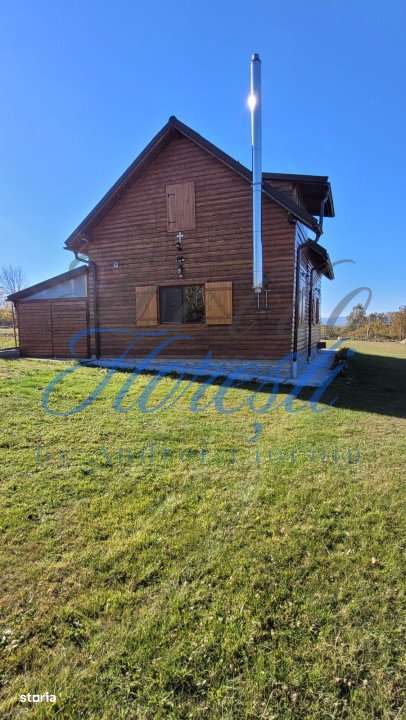 Cabana pe 2 nivele, 1600 mp teren, garaj, zona Rasca - Imagine principală: 2/19