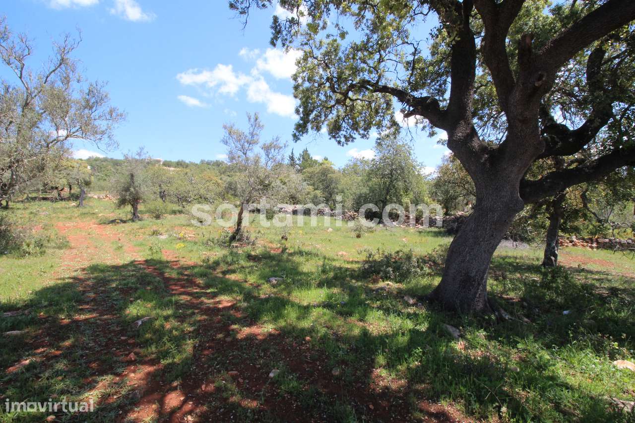 Terreno Para Construção  Venda em Querença, Tôr e Benafim,Loulé - Grande imagem: 2/5