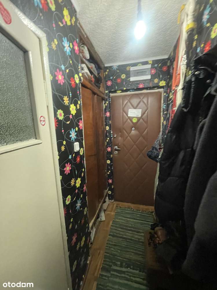 Mieszkanie, 34 m², Toruń - Pełny obrazek: 1/7