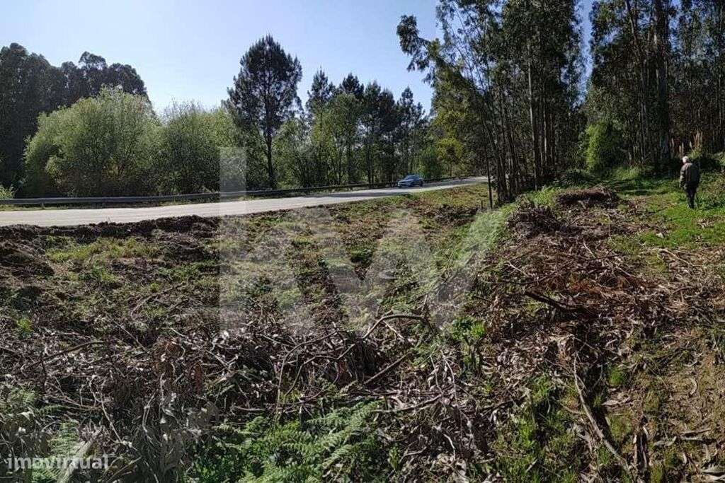 Terreno rústico com 700m2 na Avenida Jaime Isidoro (VL5) em Perosinho-13