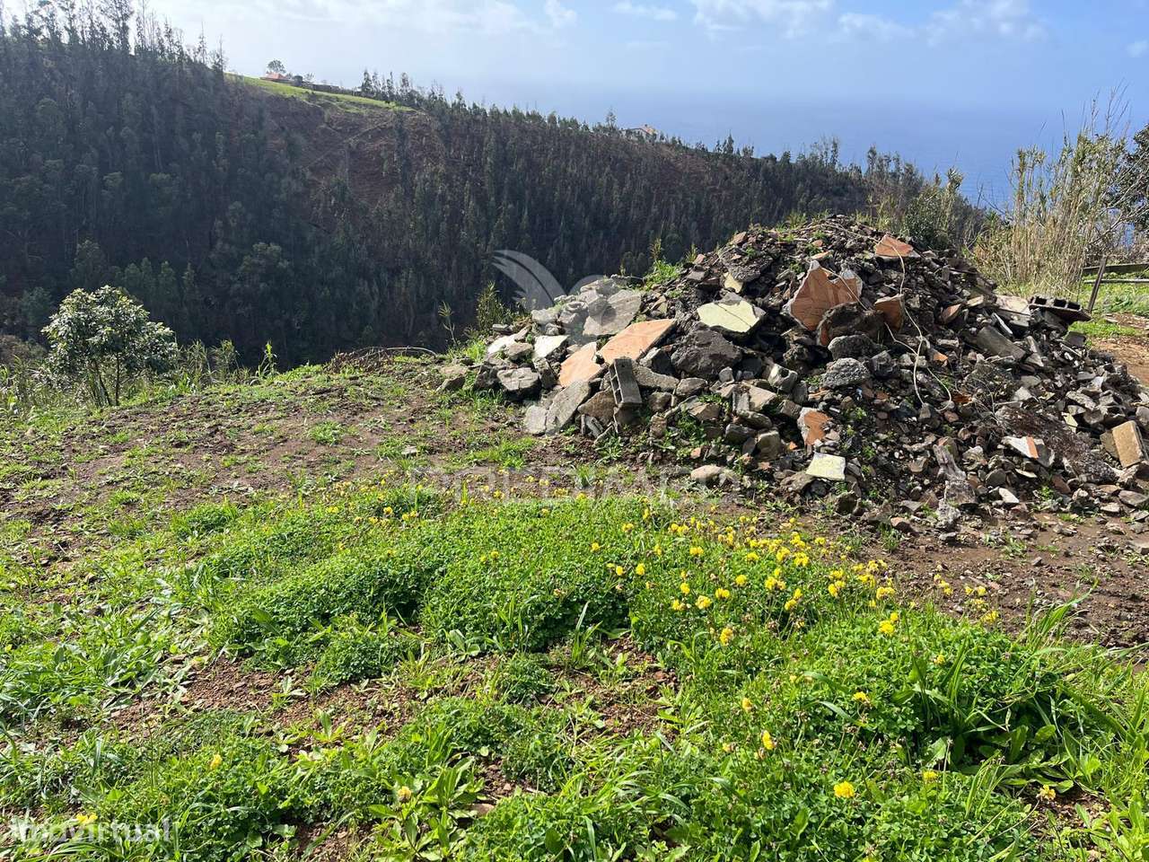 moradia para Recuperar com 718 m2 de terreno na Ponta do Pargo – Ex... - Grande imagem: 4/7