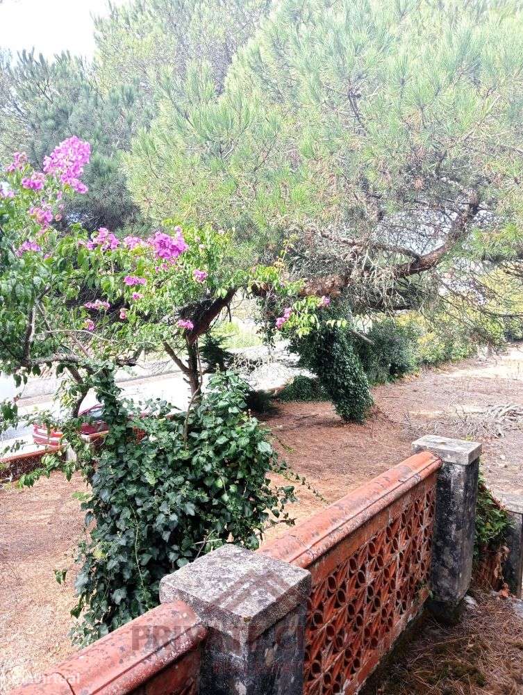 Terreno com 4.404m2 - Grande imagem: 5/8