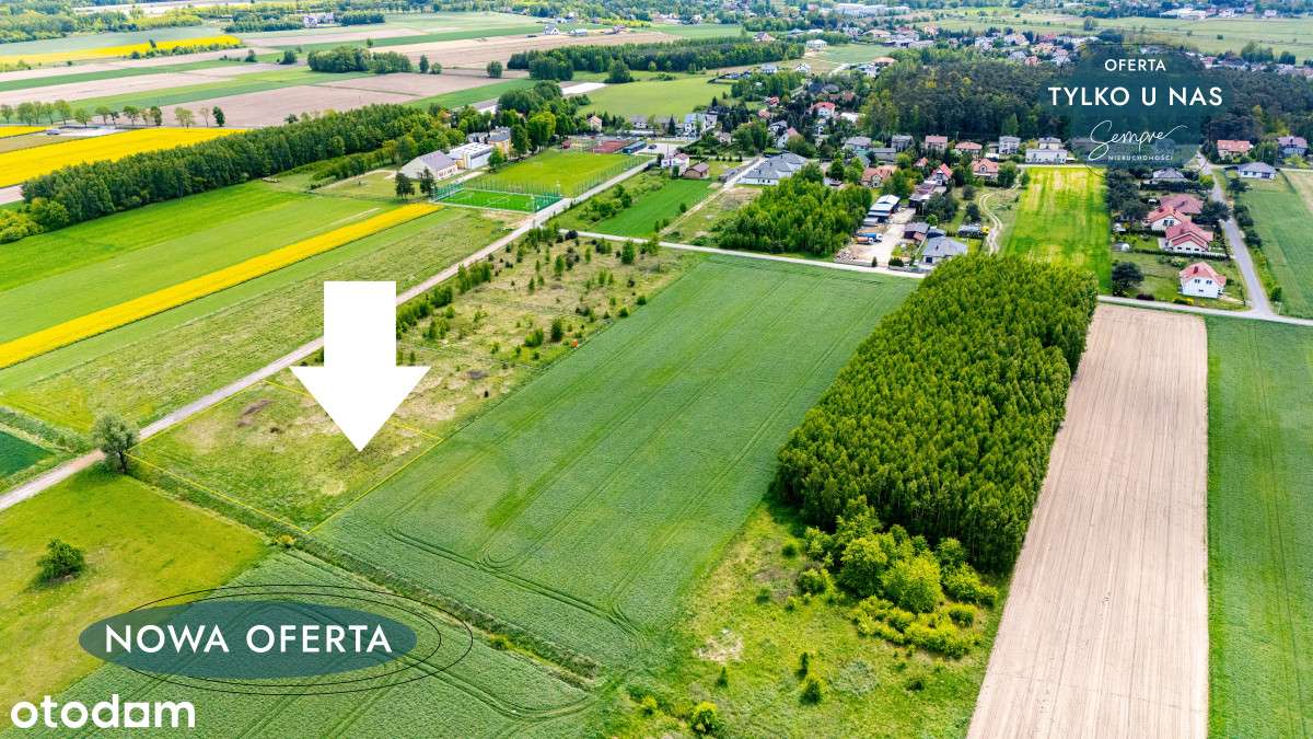 Działka 3000mk Kazimierz blisko szkoły - Pełny obrazek: 2/13