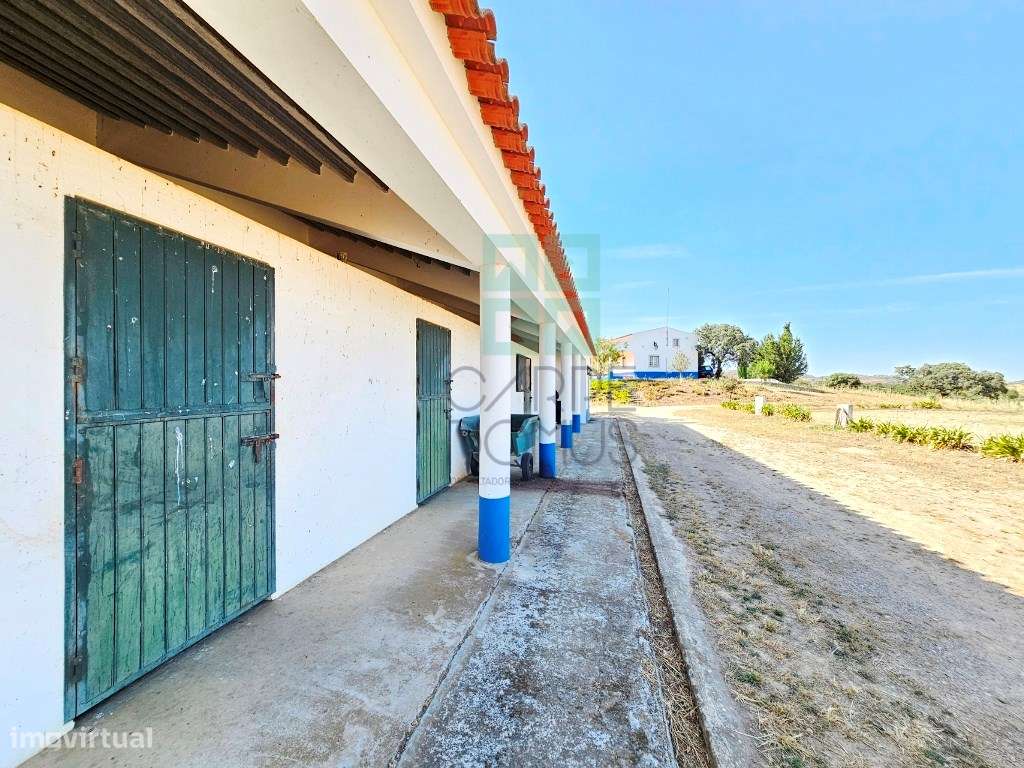 Herdade equestre com moradia T5 e piscina, 93,5ha, em Ourique, Alen...-22