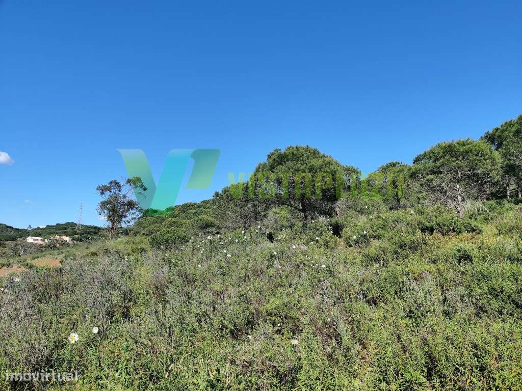 Terreno Rústico no Cotifo, Bensafrim (Lagos). - Grande imagem: 4/9