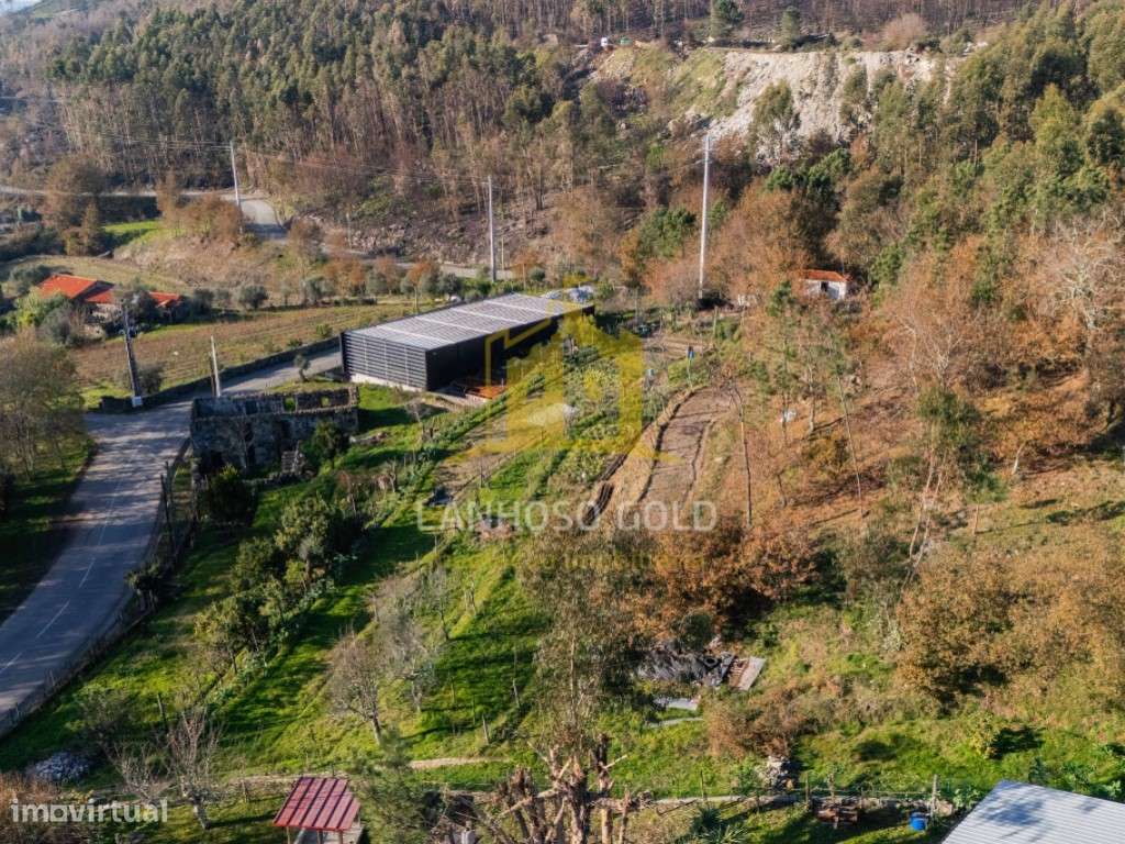 Quinta com Terreno, Armazém e Ruína em Gonça, Guimarães - Oportunid...-22