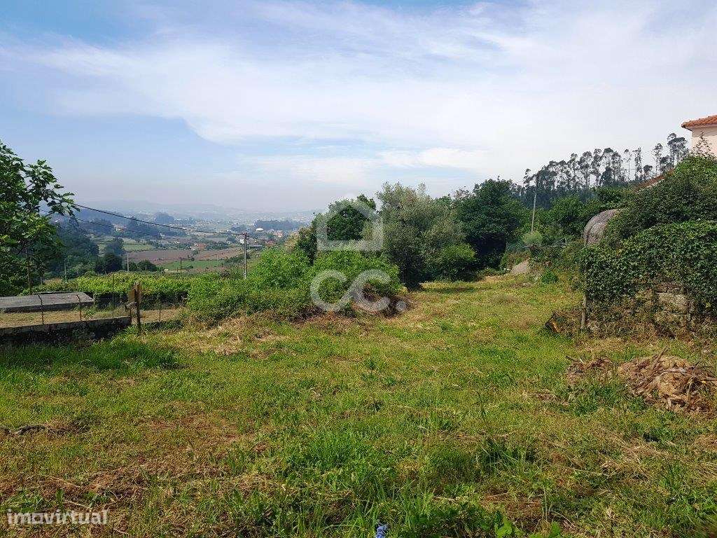 Terreno em Jesufrei! - Grande imagem: 3/7