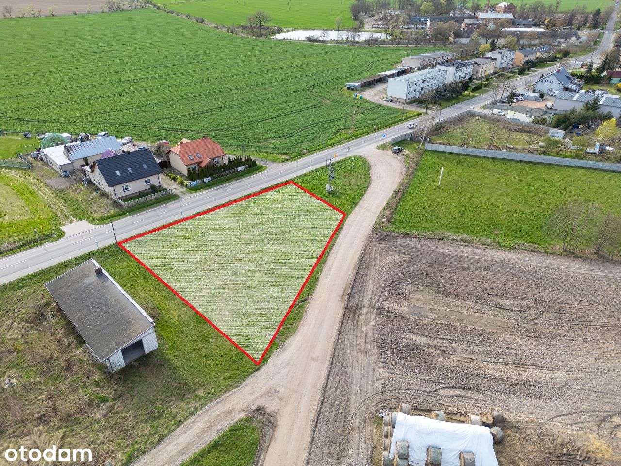 Atrakcyjna działka Piechanin koło Czempinia - Pełny obrazek: 4/7