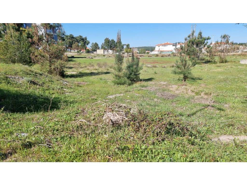 Lote de Terreno para Construção - Quinta da Várzea - Maça - Grande imagem: 5/14