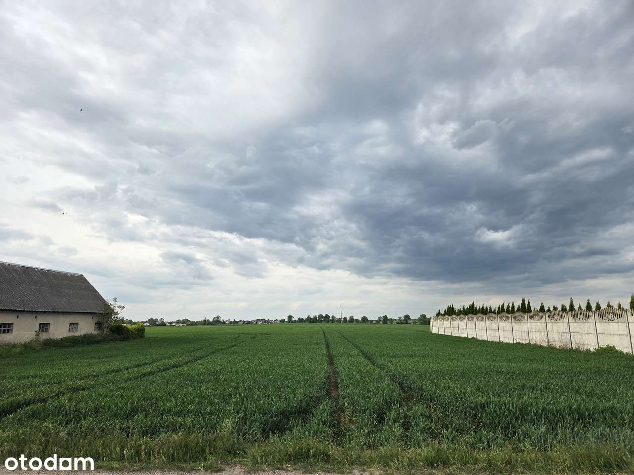 MPZP | Media | Budowlana | 30min od centrum Poznania - Pełny obrazek: 5/8