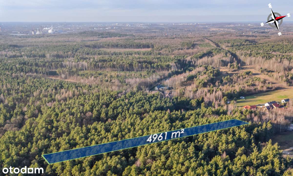 Duża działka budowlana - leśna Srocko gm. Mstów - Pełny obrazek: 5/5