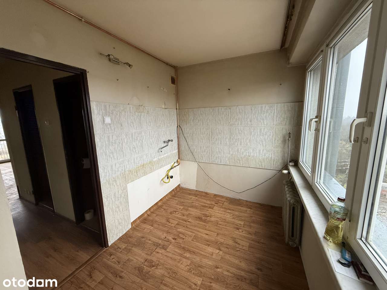 WRONIA - Pełny obrazek: 4/17