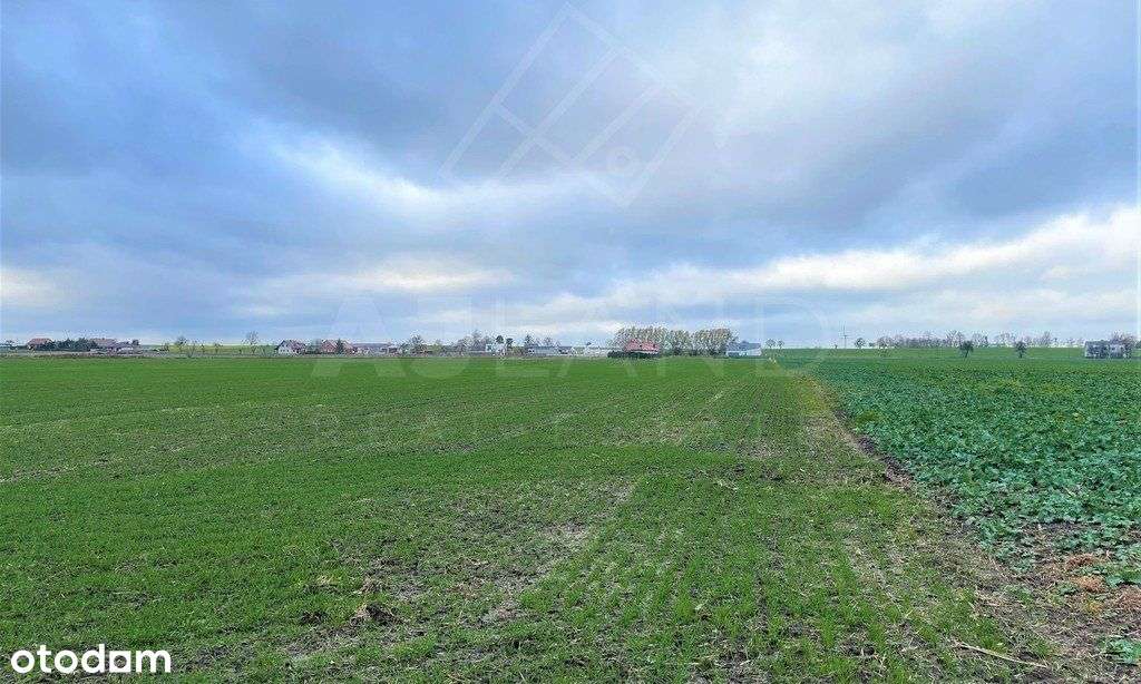 Atrakcyjna działka budowlana w Bogdanowie! - Pełny obrazek: 4/7