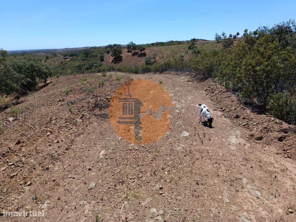 TERRENO COM 840 M2 - COM ÁRVORES - PRÓXIMO DA CORTE DO GAGO - CASTR... - Grande imagem: 3/34