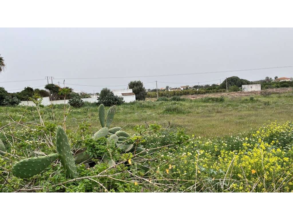 Terreno com ruína e terreno rústico, Galvana, Faro, Algarve - Grande imagem: 5/24