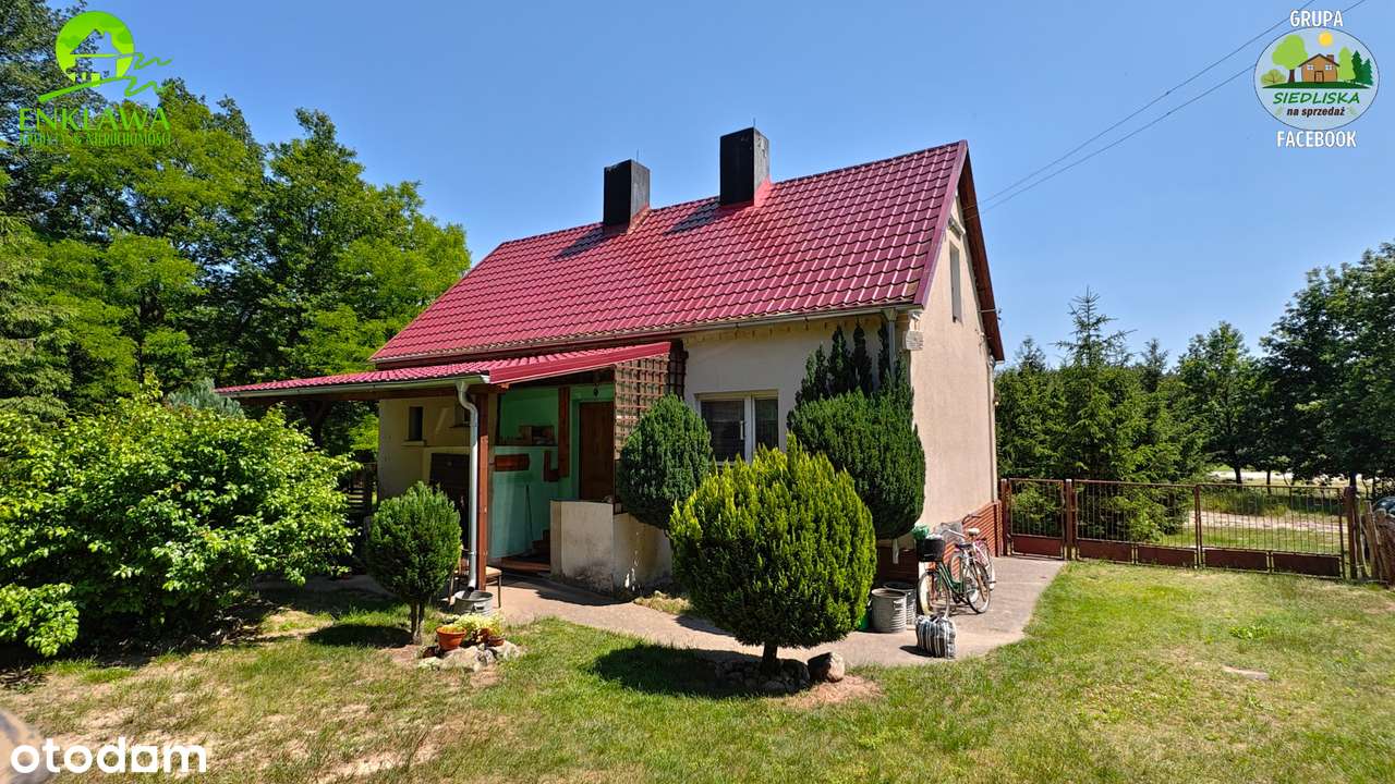 ENKLAWA prezentuje: LEŚNICZÓWKA niedaleko Krosna Odrzańskiego! CUDO!-5