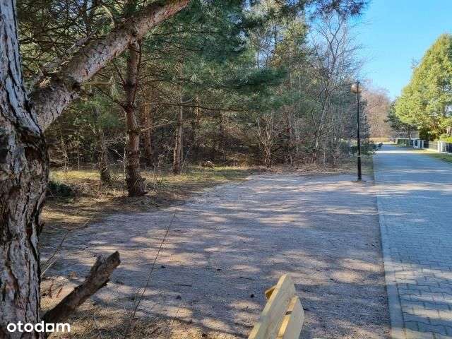 Działka, 2 600 m², Strzeniówka-5