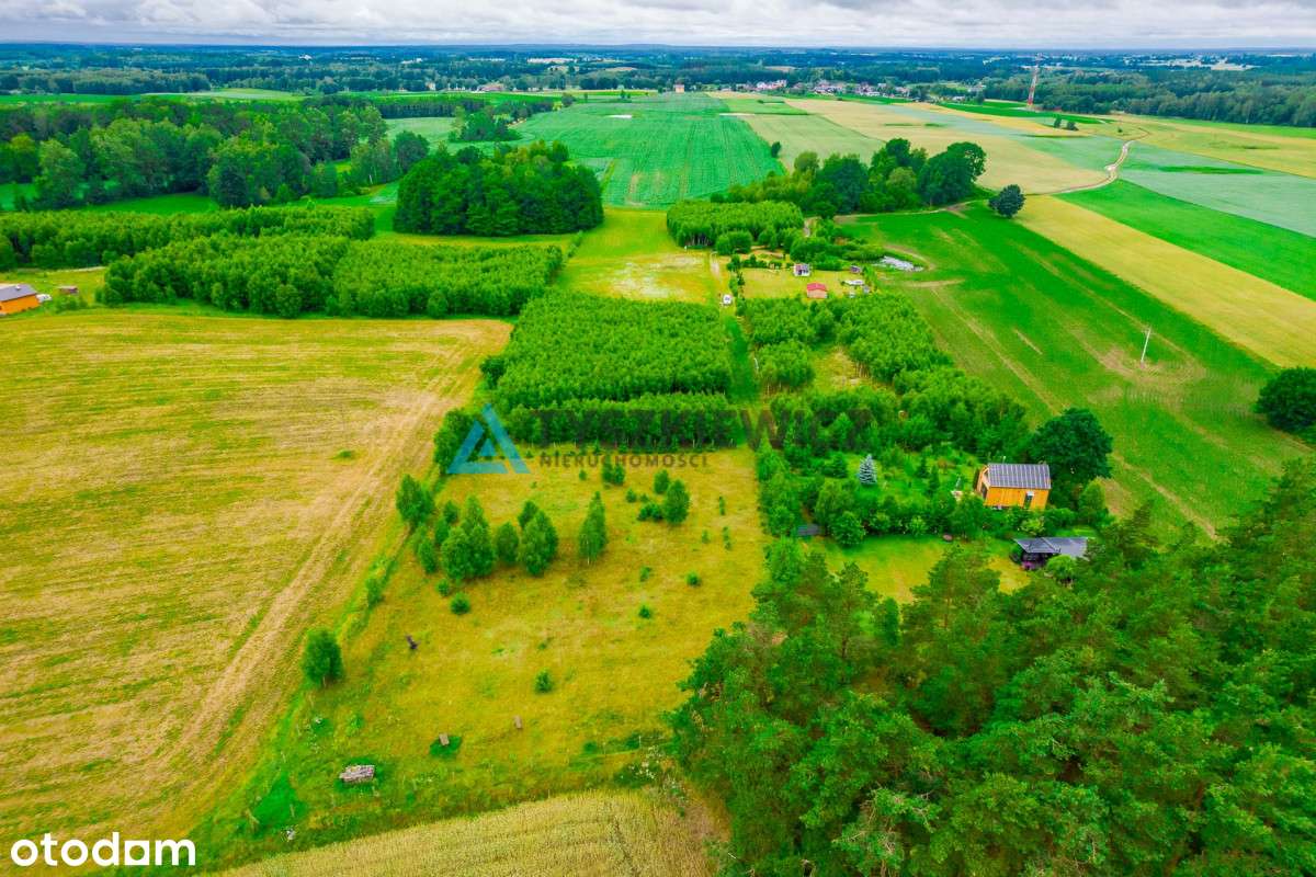 Urokliwa działka blisko jeziora. - Pełny obrazek: 4/12