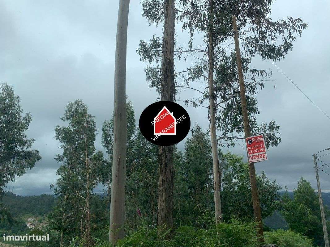 3 Casas + terrenos em Infantas - Grande imagem: 3/14