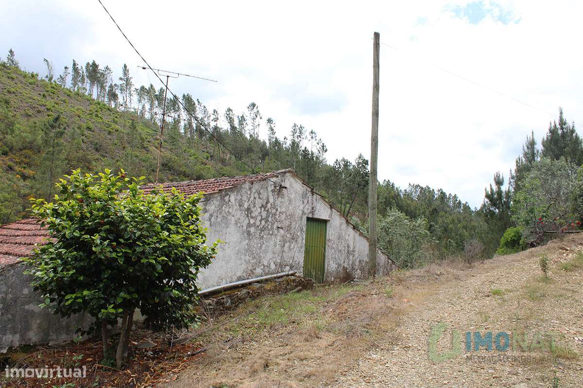 Imóvel Rural-27