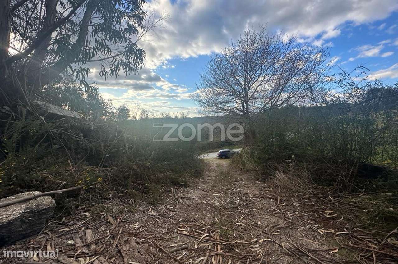 Terreno Rustico em Fonte Arcada e Oliveira 20.485m2 Povoa de Lanhoso - Grande imagem: 5/15